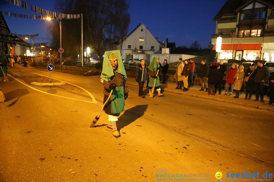 40 Jahre Urviecherzunft - Umzug: Bad Duerrheim, 16.02.2019