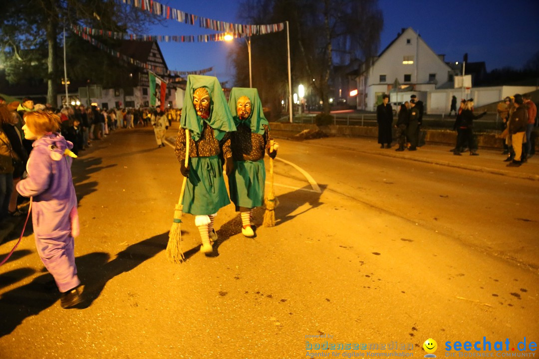 40 Jahre Urviecherzunft - Umzug: Bad Duerrheim, 16.02.2019