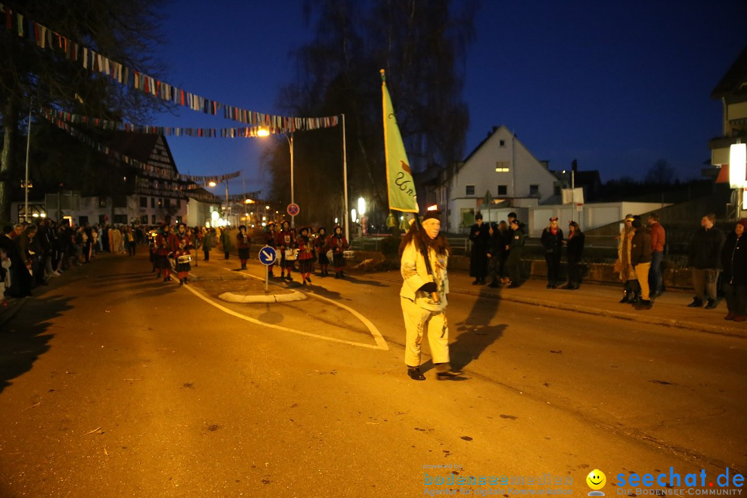 40 Jahre Urviecherzunft - Umzug: Bad Duerrheim, 16.02.2019