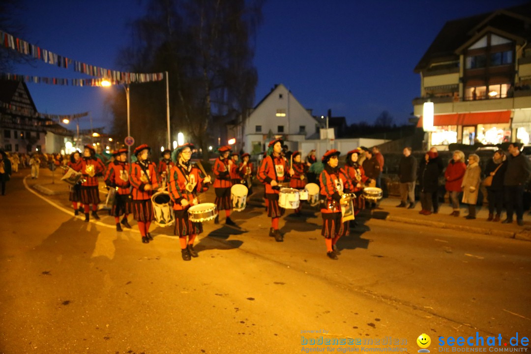 40 Jahre Urviecherzunft - Umzug: Bad Duerrheim, 16.02.2019