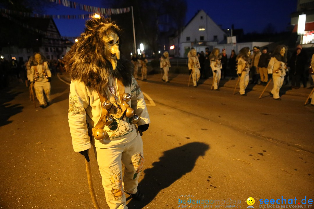 40 Jahre Urviecherzunft - Umzug: Bad Duerrheim, 16.02.2019