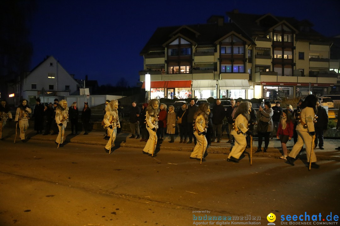 40 Jahre Urviecherzunft - Umzug: Bad Duerrheim, 16.02.2019