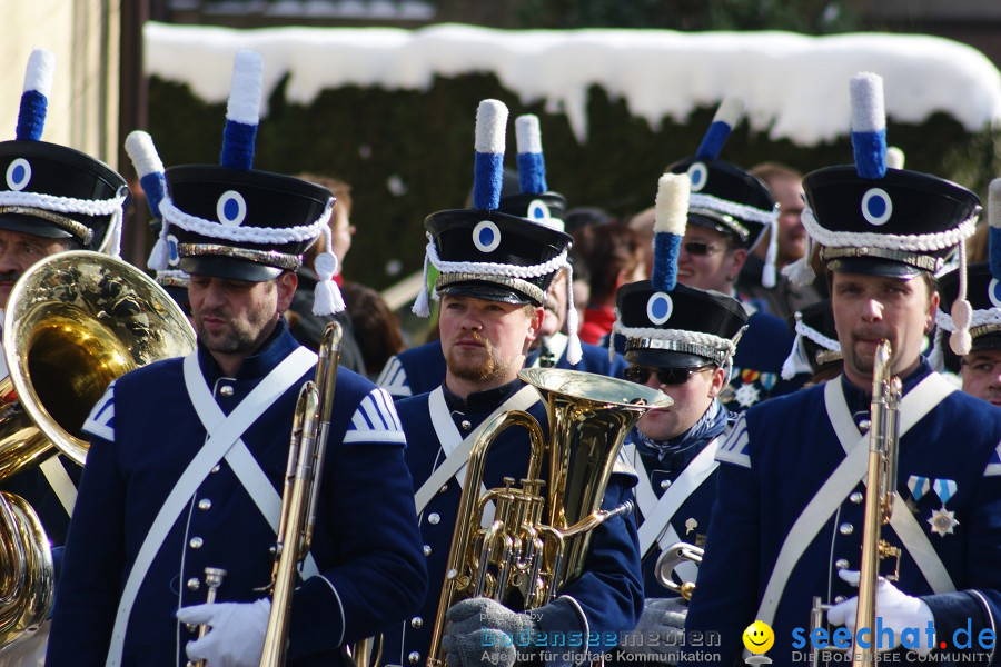 Narrenumzug: Villingen, 16.02.2010