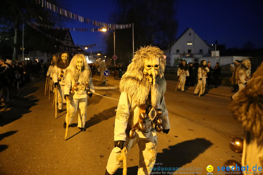 40 Jahre Urviecherzunft - Umzug: Bad Duerrheim, 16.02.2019