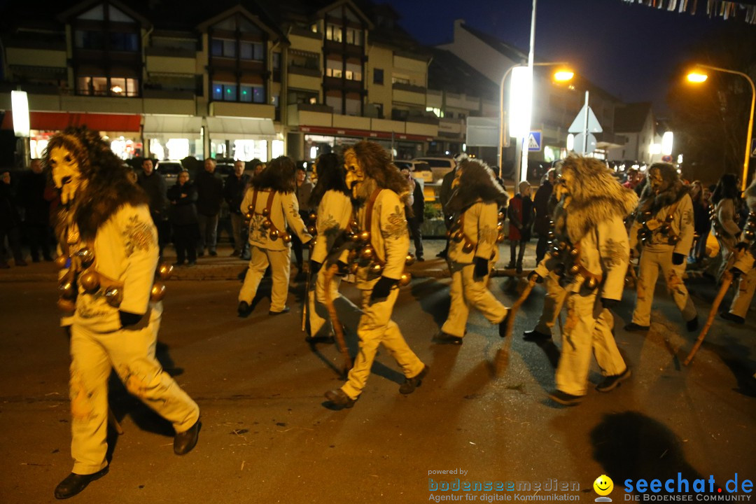 40 Jahre Urviecherzunft - Umzug: Bad Duerrheim, 16.02.2019