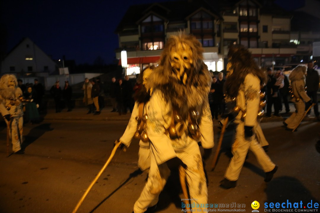 40 Jahre Urviecherzunft - Umzug: Bad Duerrheim, 16.02.2019