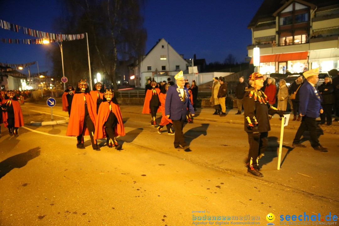 40 Jahre Urviecherzunft - Umzug: Bad Duerrheim, 16.02.2019