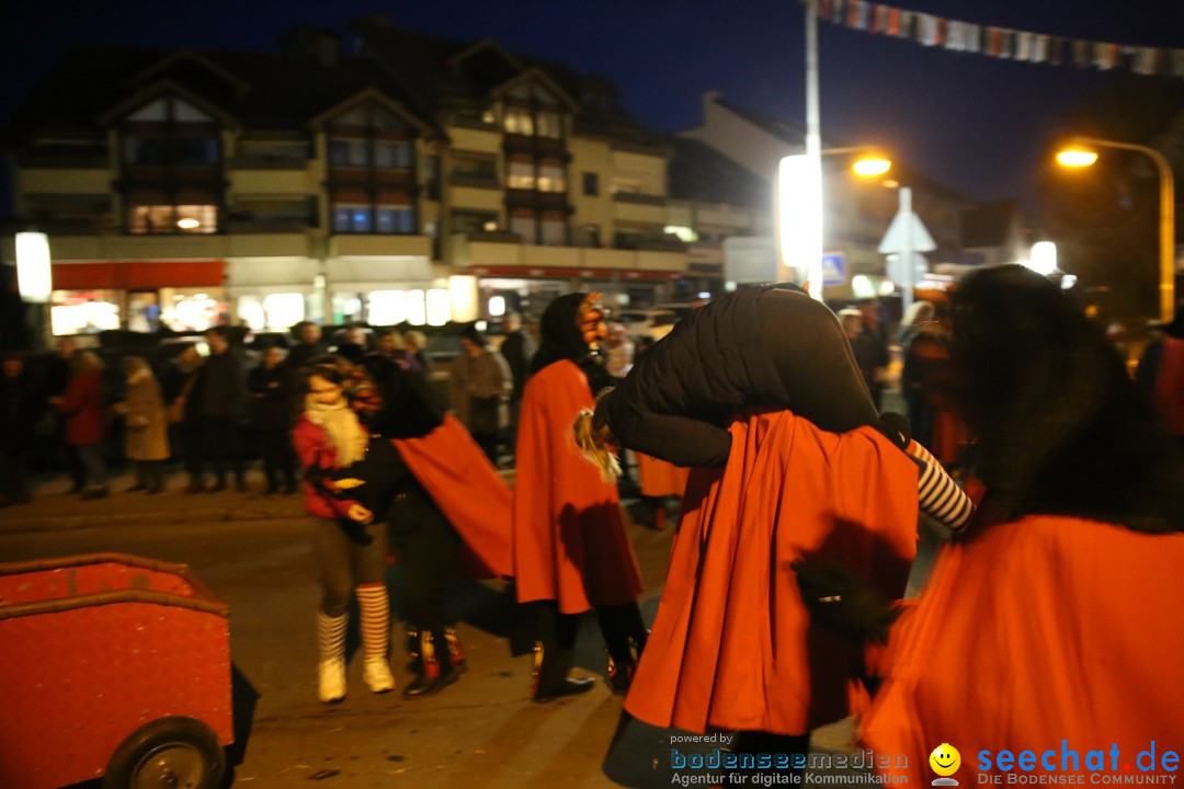 40 Jahre Urviecherzunft - Umzug: Bad Duerrheim, 16.02.2019