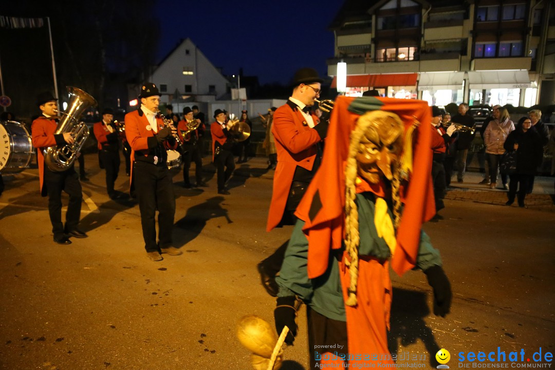 40 Jahre Urviecherzunft - Umzug: Bad Duerrheim, 16.02.2019