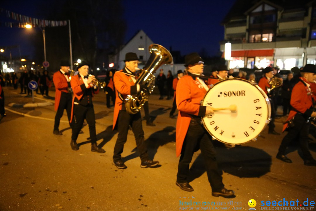 40 Jahre Urviecherzunft - Umzug: Bad Duerrheim, 16.02.2019