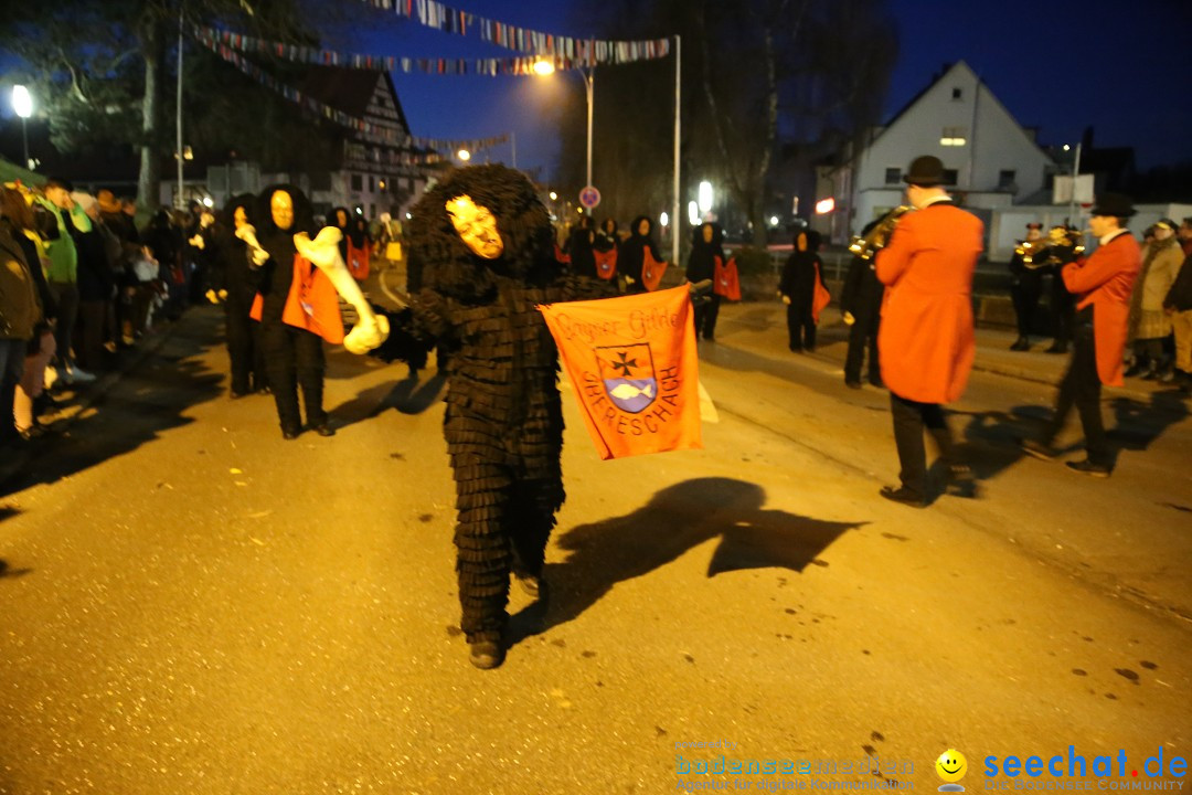 40 Jahre Urviecherzunft - Umzug: Bad Duerrheim, 16.02.2019