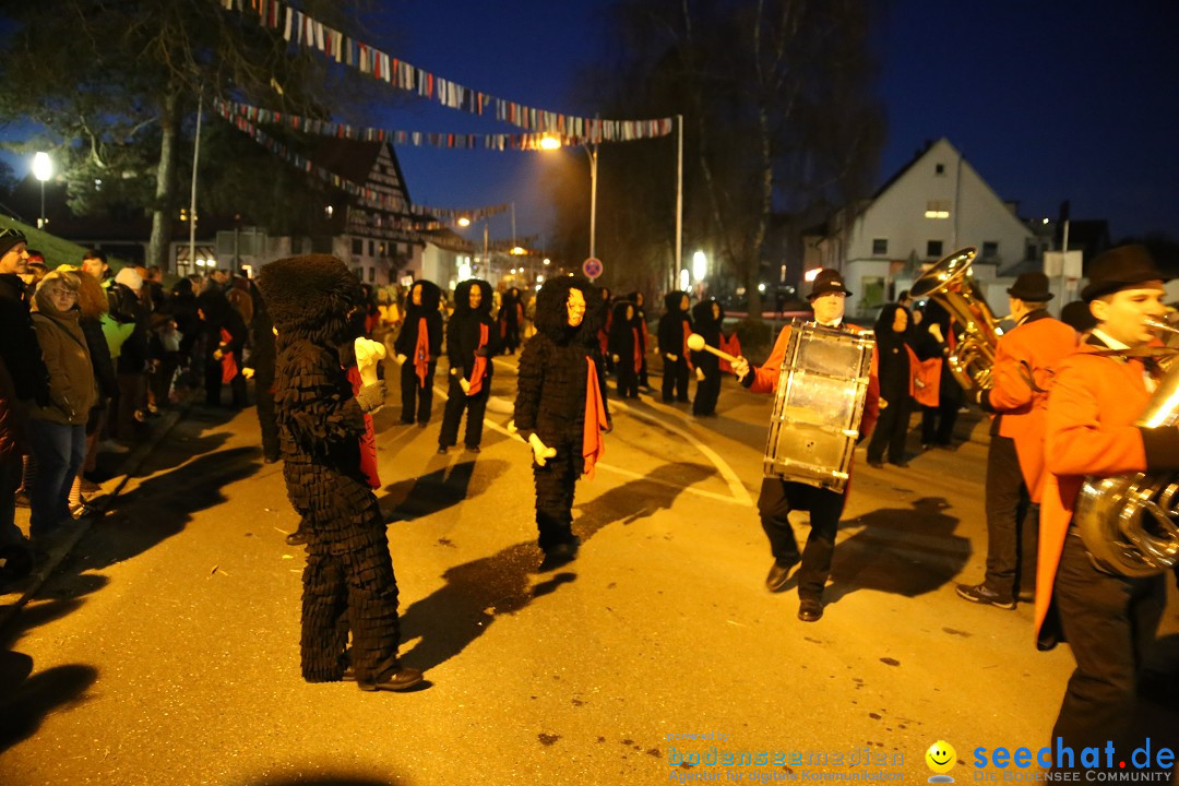 40 Jahre Urviecherzunft - Umzug: Bad Duerrheim, 16.02.2019