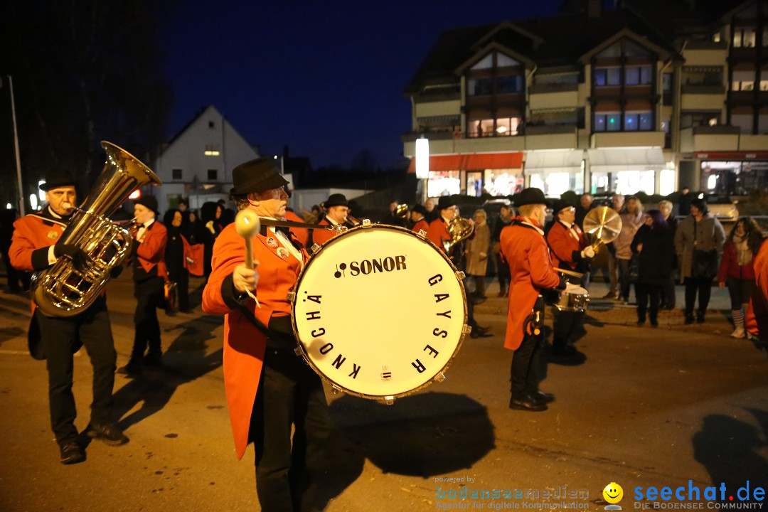 40 Jahre Urviecherzunft - Umzug: Bad Duerrheim, 16.02.2019