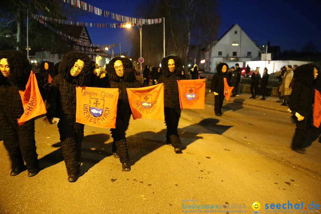 40 Jahre Urviecherzunft - Umzug: Bad Duerrheim, 16.02.2019