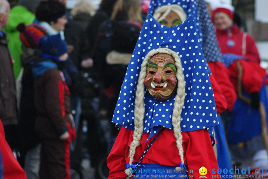 Narrenumzug: Villingen, 16.02.2010