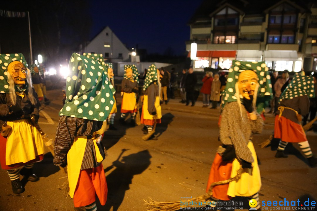 40 Jahre Urviecherzunft - Umzug: Bad Duerrheim, 16.02.2019