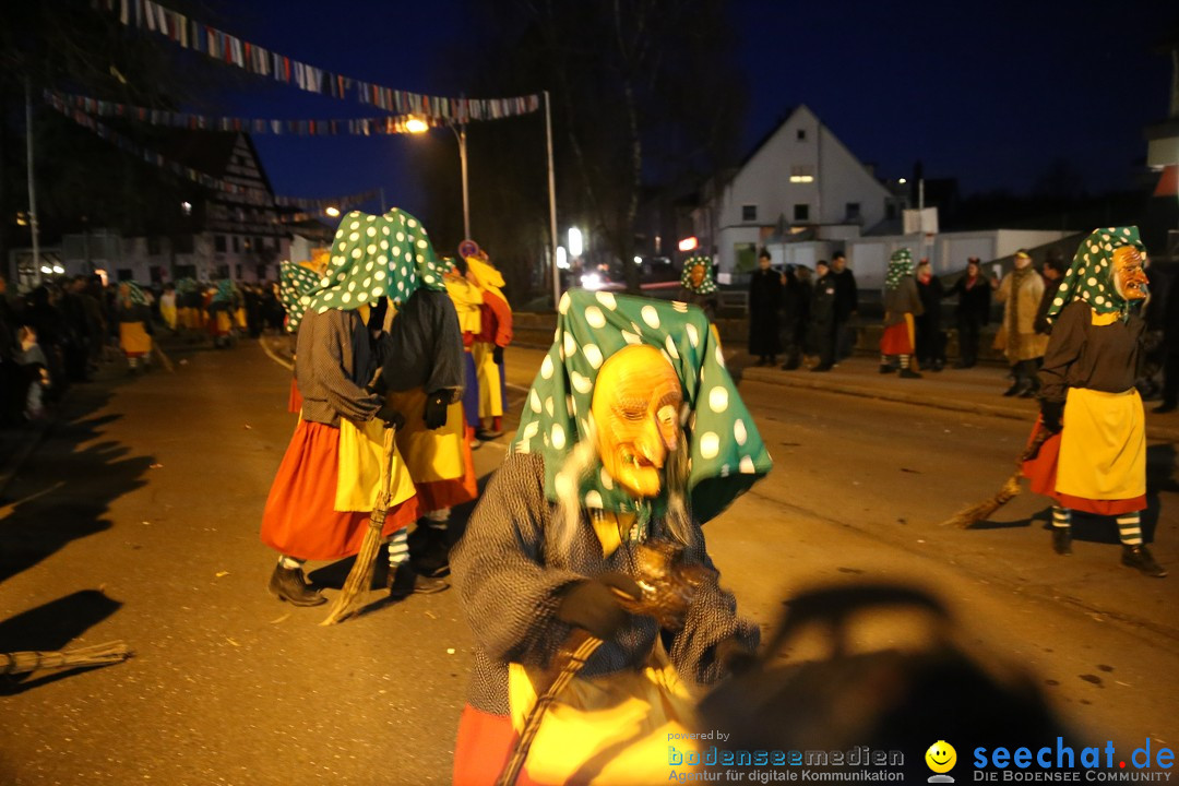 40 Jahre Urviecherzunft - Umzug: Bad Duerrheim, 16.02.2019