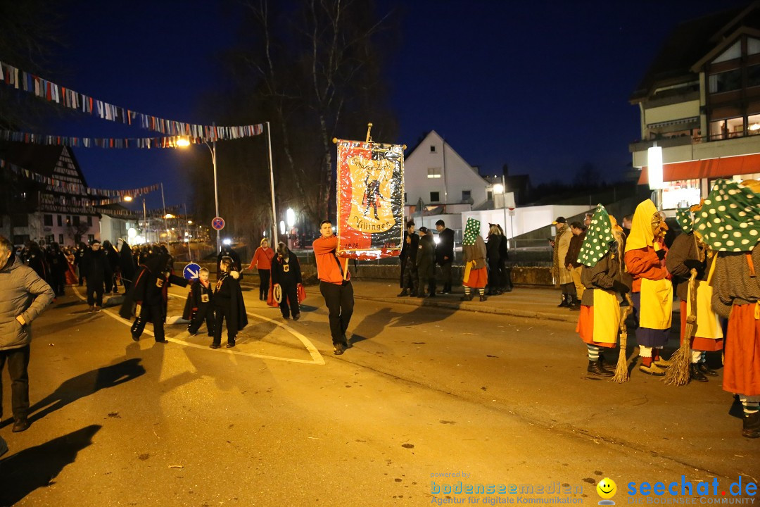 40 Jahre Urviecherzunft - Umzug: Bad Duerrheim, 16.02.2019