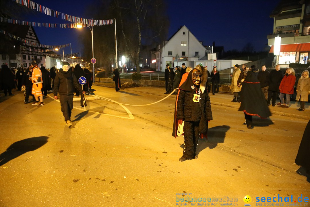 40 Jahre Urviecherzunft - Umzug: Bad Duerrheim, 16.02.2019