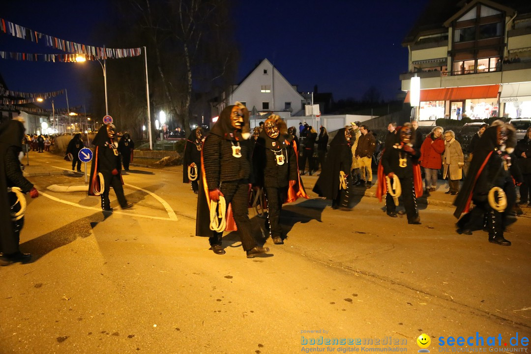 40 Jahre Urviecherzunft - Umzug: Bad Duerrheim, 16.02.2019