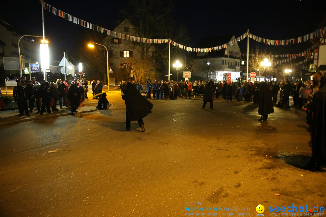 40 Jahre Urviecherzunft - Umzug: Bad Duerrheim, 16.02.2019