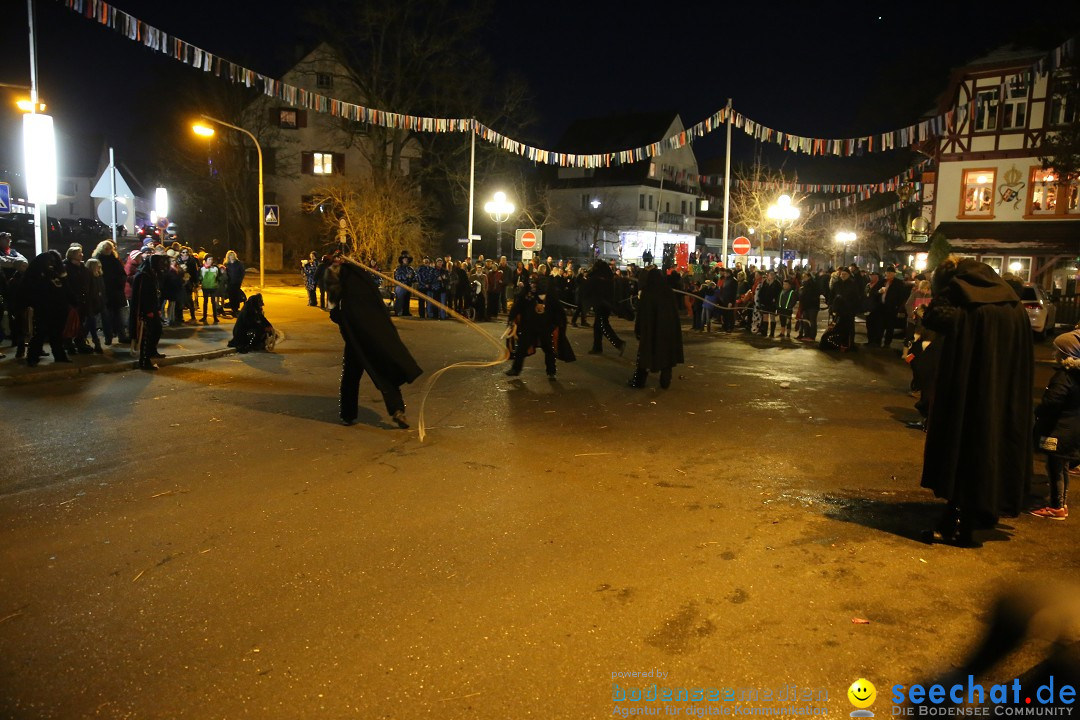 40 Jahre Urviecherzunft - Umzug: Bad Duerrheim, 16.02.2019