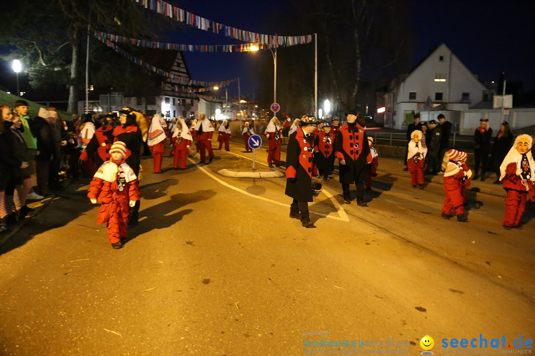 40 Jahre Urviecherzunft - Umzug: Bad Duerrheim, 16.02.2019