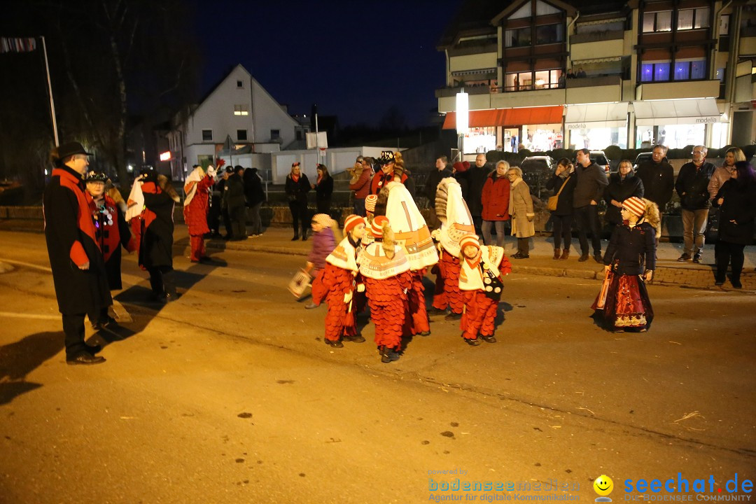 40 Jahre Urviecherzunft - Umzug: Bad Duerrheim, 16.02.2019