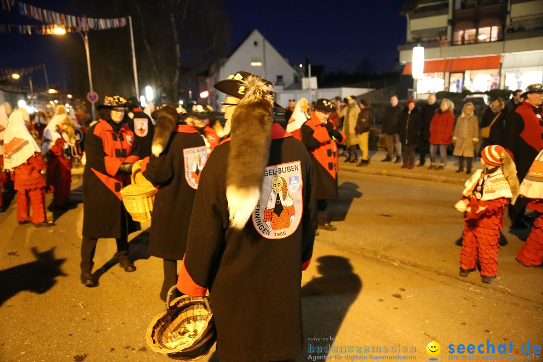 40 Jahre Urviecherzunft - Umzug: Bad Duerrheim, 16.02.2019