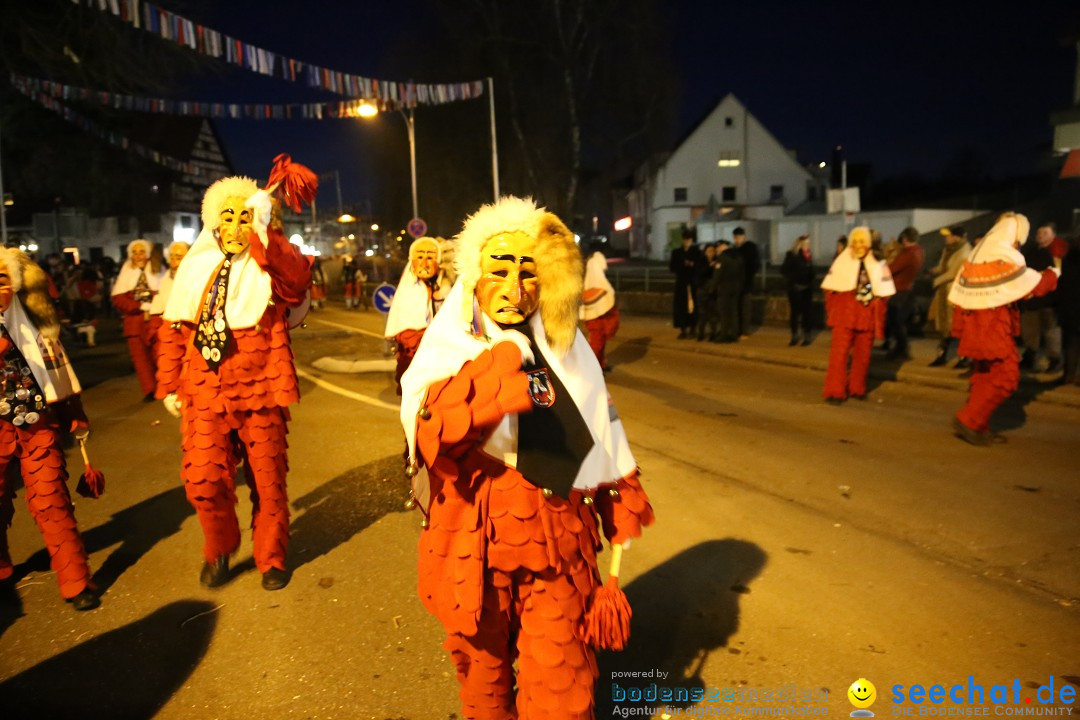 40 Jahre Urviecherzunft - Umzug: Bad Duerrheim, 16.02.2019