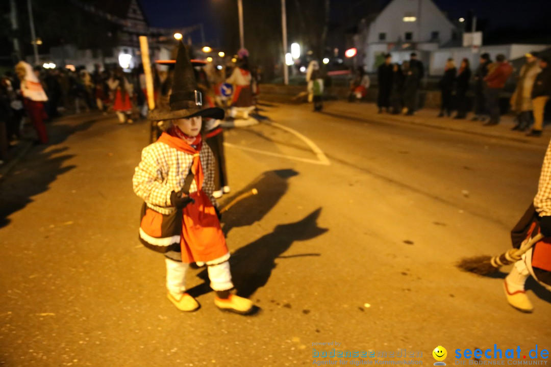 40 Jahre Urviecherzunft - Umzug: Bad Duerrheim, 16.02.2019