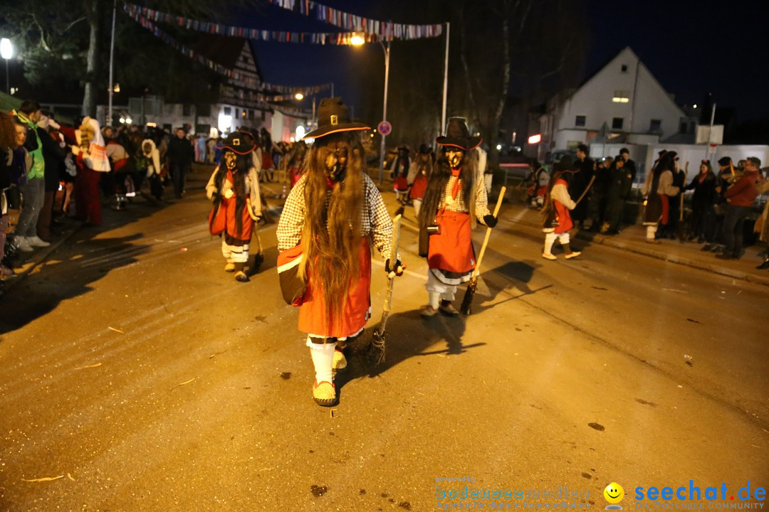 40 Jahre Urviecherzunft - Umzug: Bad Duerrheim, 16.02.2019