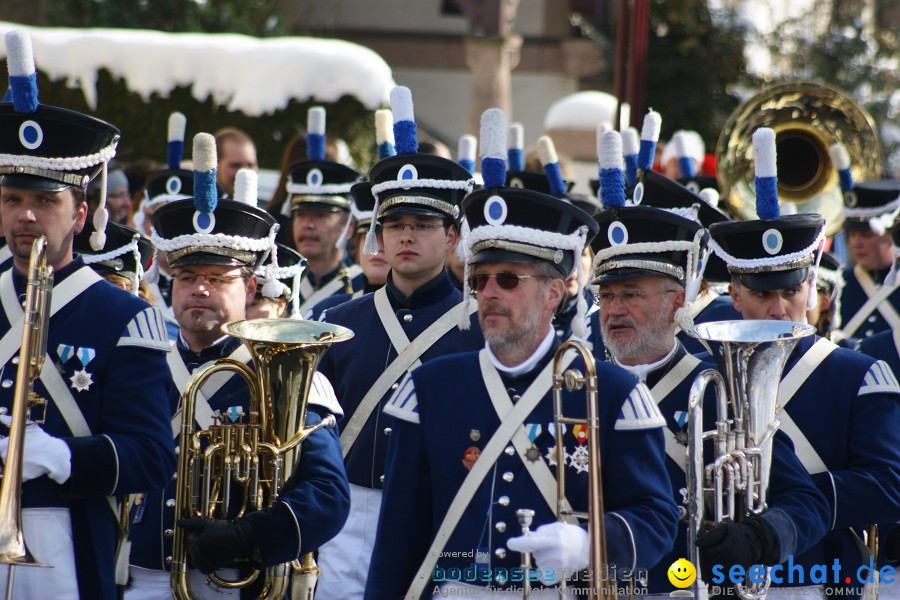 Narrenumzug: Villingen, 16.02.2010