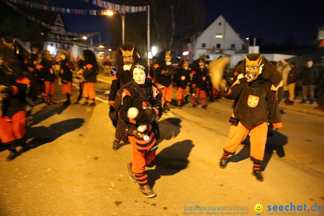 40 Jahre Urviecherzunft - Umzug: Bad Duerrheim, 16.02.2019