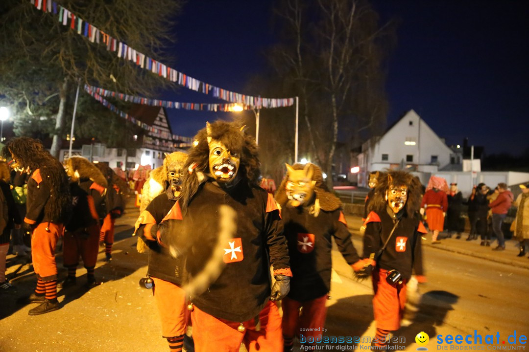 40 Jahre Urviecherzunft - Umzug: Bad Duerrheim, 16.02.2019