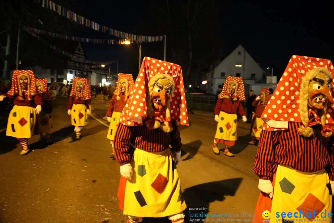 40 Jahre Urviecherzunft - Umzug: Bad Duerrheim, 16.02.2019