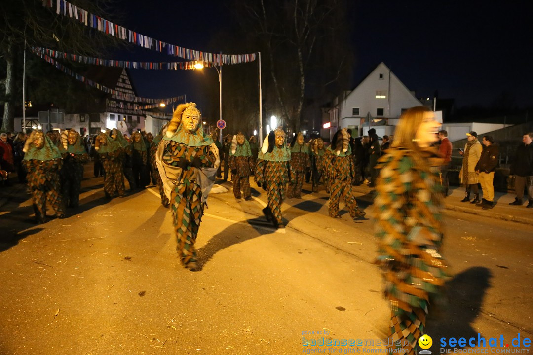 40 Jahre Urviecherzunft - Umzug: Bad Duerrheim, 16.02.2019