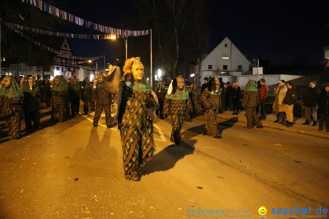 40 Jahre Urviecherzunft - Umzug: Bad Duerrheim, 16.02.2019