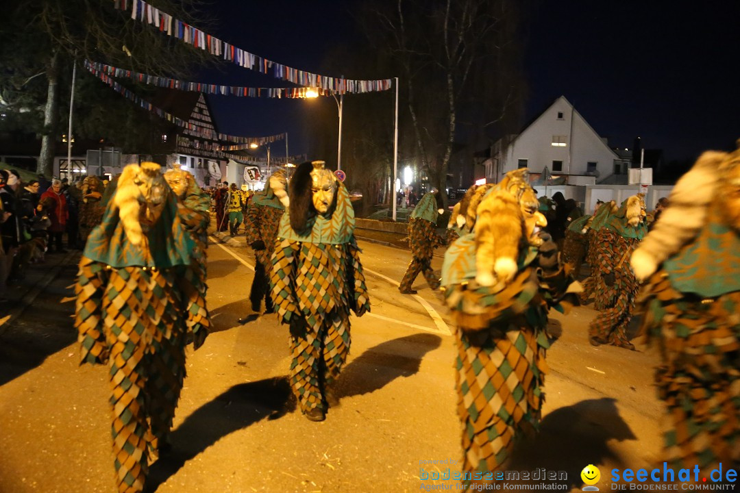 40 Jahre Urviecherzunft - Umzug: Bad Duerrheim, 16.02.2019