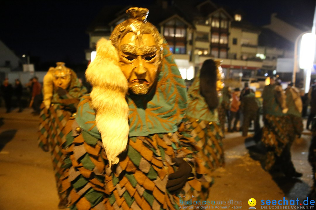 40 Jahre Urviecherzunft - Umzug: Bad Duerrheim, 16.02.2019