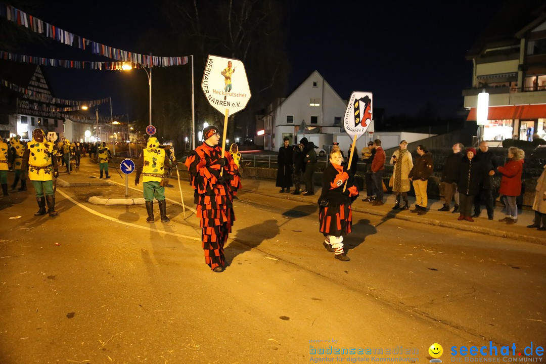 40 Jahre Urviecherzunft - Umzug: Bad Duerrheim, 16.02.2019