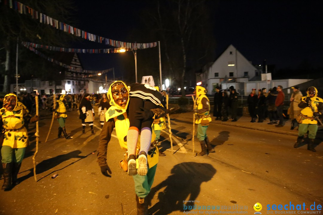 40 Jahre Urviecherzunft - Umzug: Bad Duerrheim, 16.02.2019