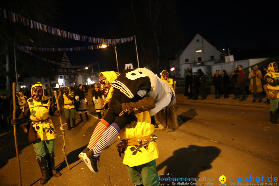 40 Jahre Urviecherzunft - Umzug: Bad Duerrheim, 16.02.2019