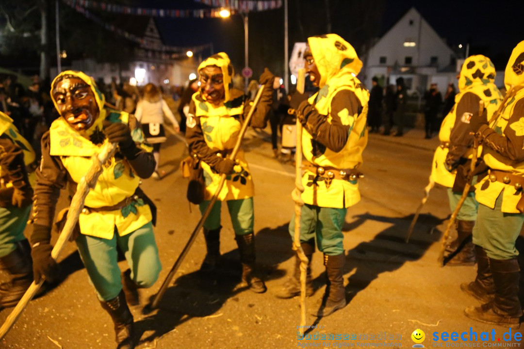 40 Jahre Urviecherzunft - Umzug: Bad Duerrheim, 16.02.2019