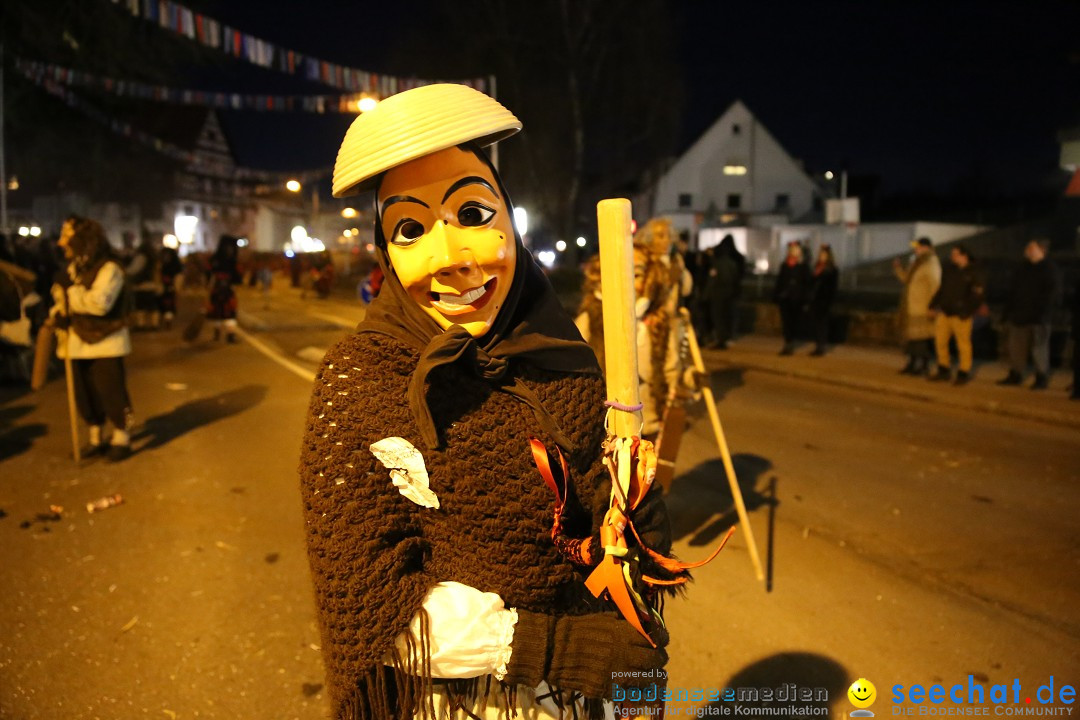 40 Jahre Urviecherzunft - Umzug: Bad Duerrheim, 16.02.2019