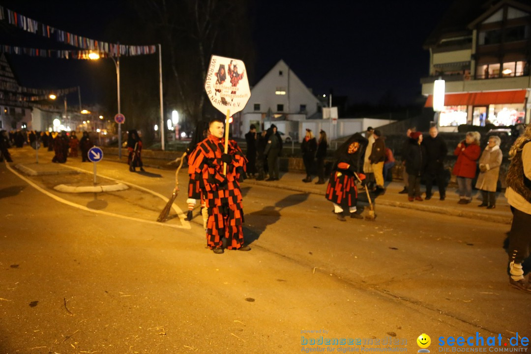 40 Jahre Urviecherzunft - Umzug: Bad Duerrheim, 16.02.2019