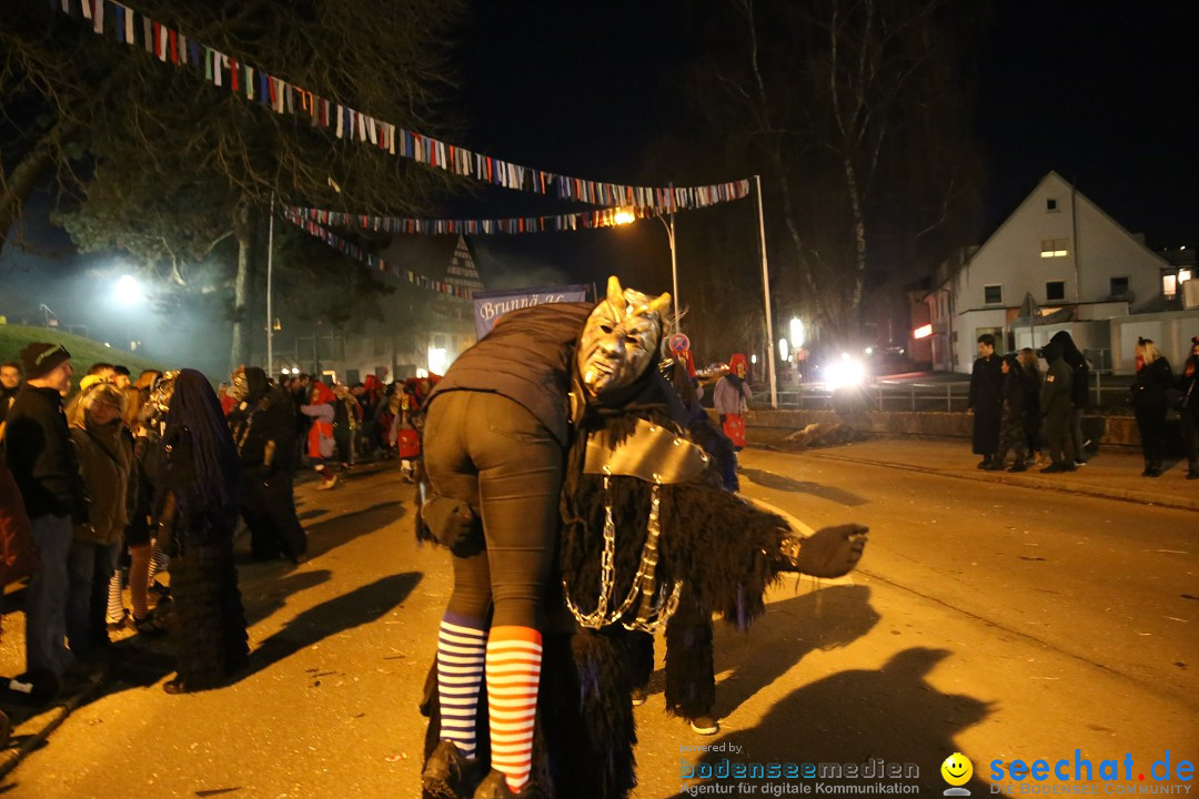 40 Jahre Urviecherzunft - Umzug: Bad Duerrheim, 16.02.2019