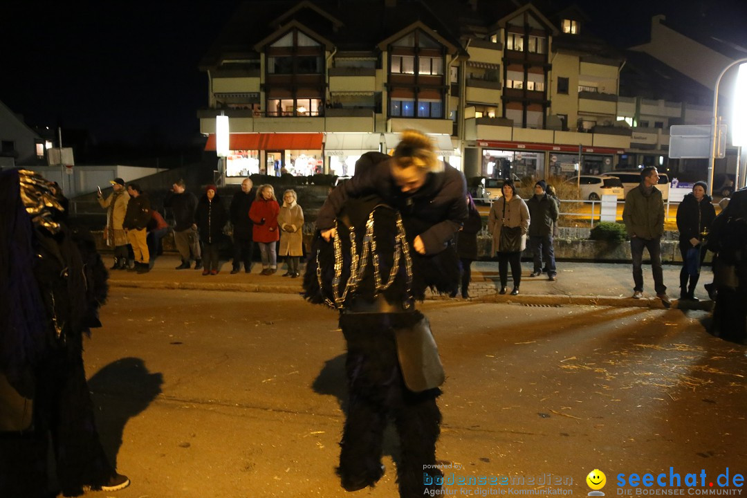 40 Jahre Urviecherzunft - Umzug: Bad Duerrheim, 16.02.2019