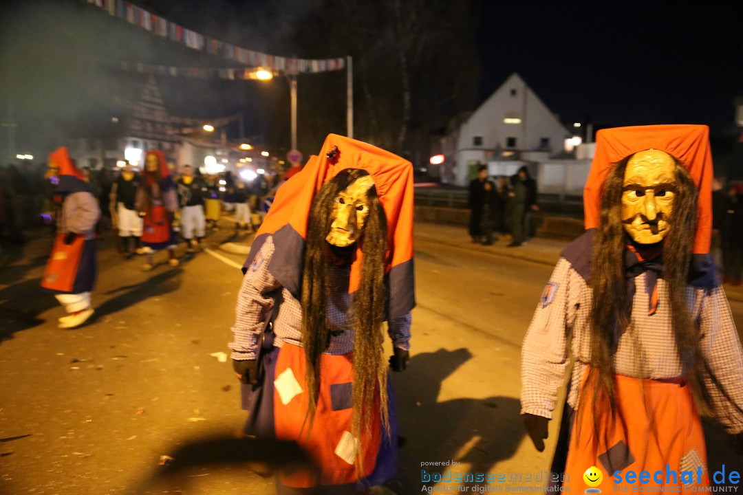 40 Jahre Urviecherzunft - Umzug: Bad Duerrheim, 16.02.2019