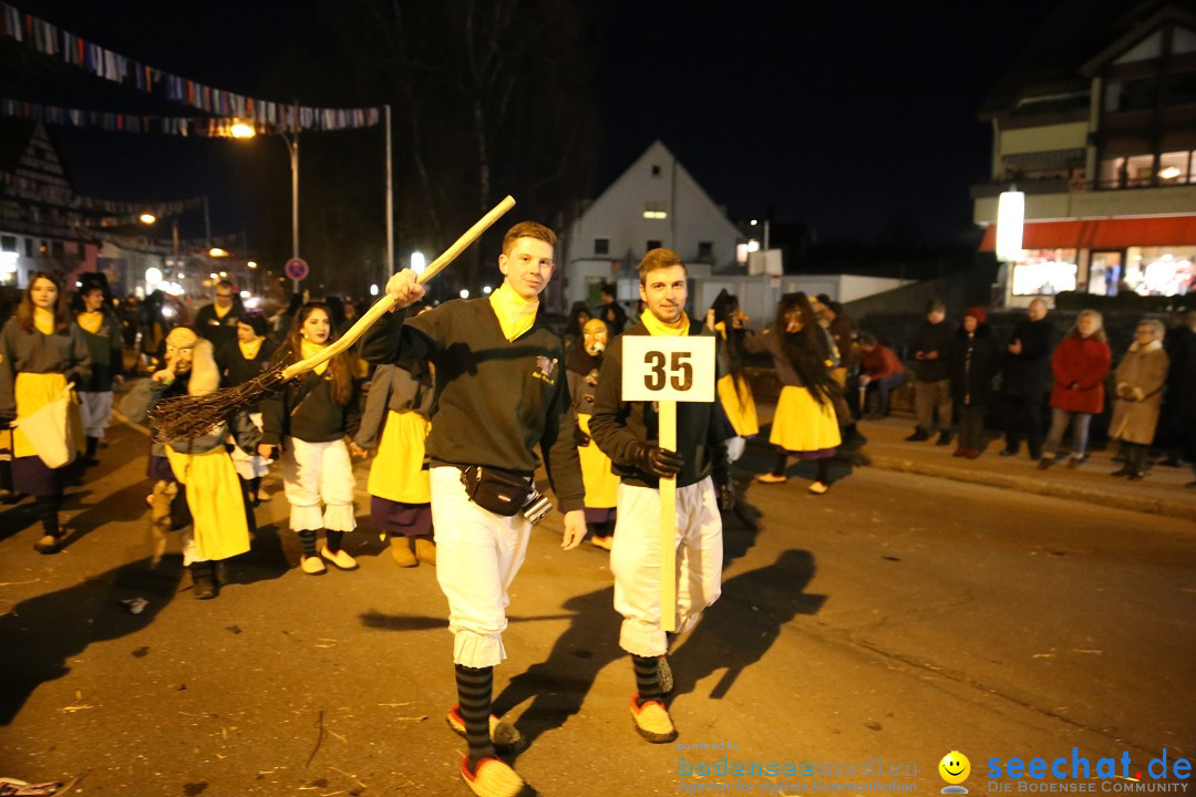 40 Jahre Urviecherzunft - Umzug: Bad Duerrheim, 16.02.2019